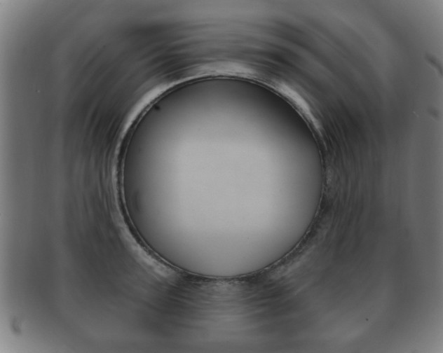 X0000091910947200709051209