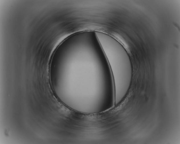X0000091910948200709051209
