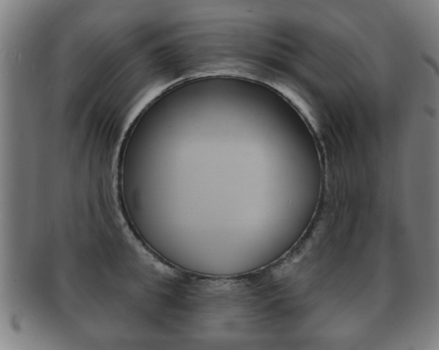 X0000091910949200709051209