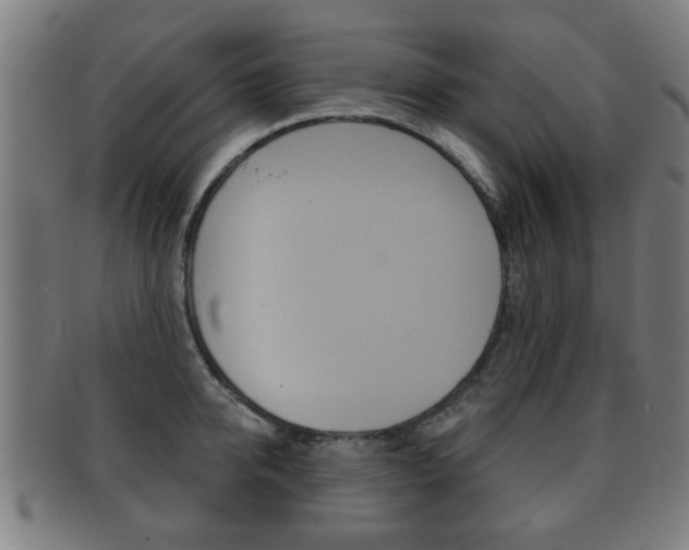 X0000091910950200709051209
