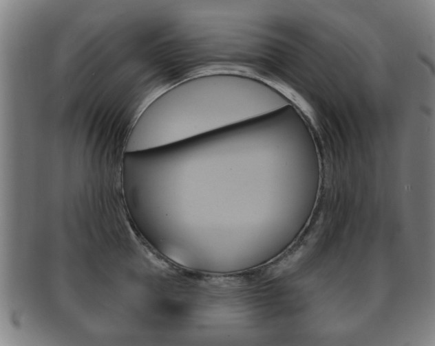 X0000091910953200709051209