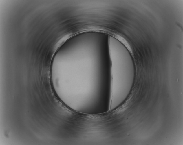 X0000091910954200709051209