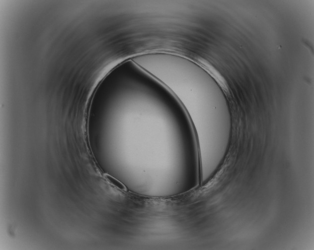 X0000091910956200709051209