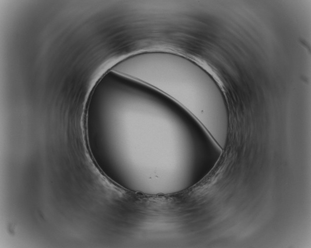 X0000091910959200709051209