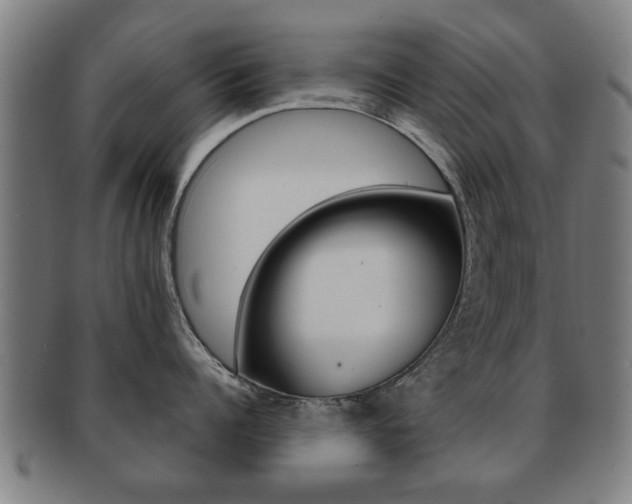 X0000091910960200709051209
