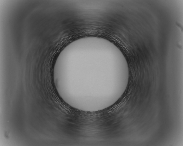 X0000091910961200709051208