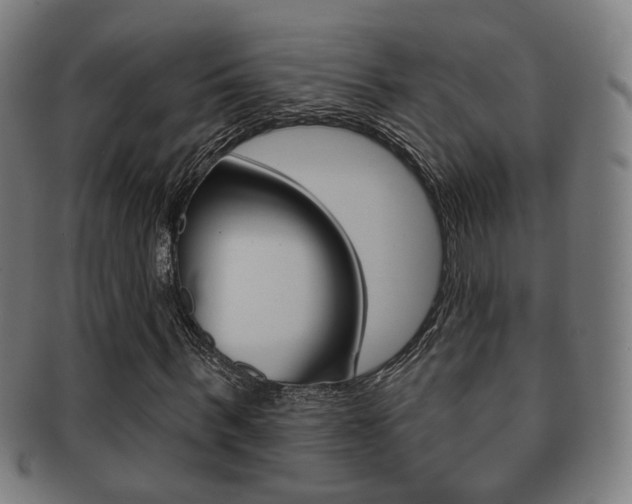 X0000091910963200709051208