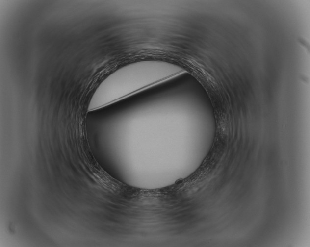 X0000091910964200709051208