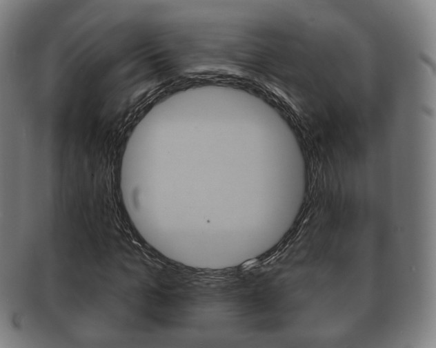 X0000091910965200709051208