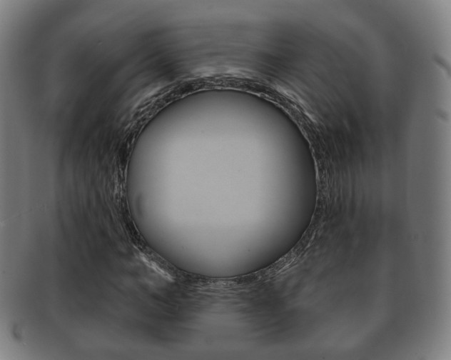 X0000091910966200709051208
