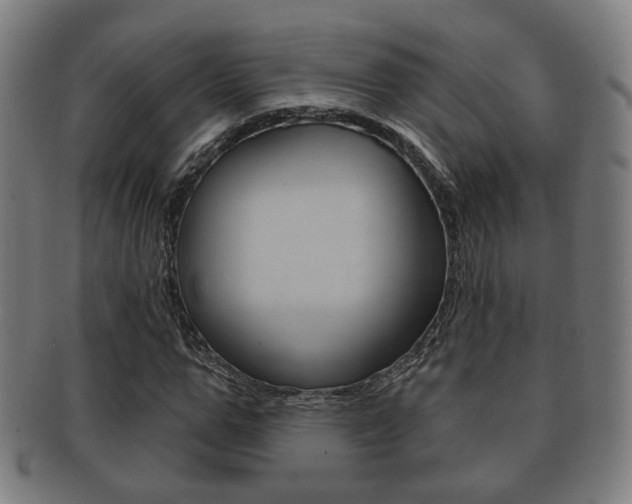X0000091910967200709051208