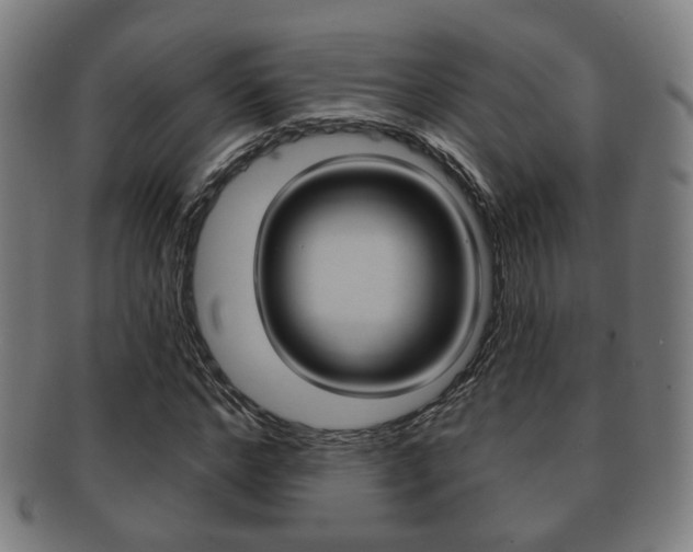 X0000091910968200709051208