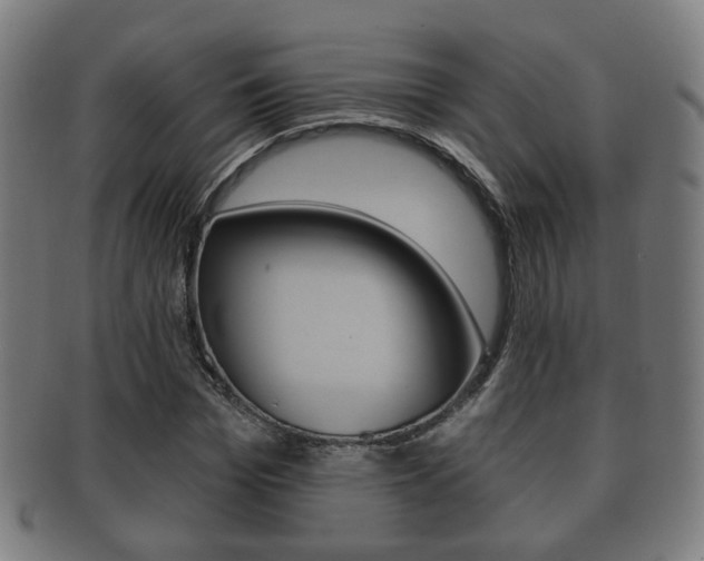 X0000091910969200709051208
