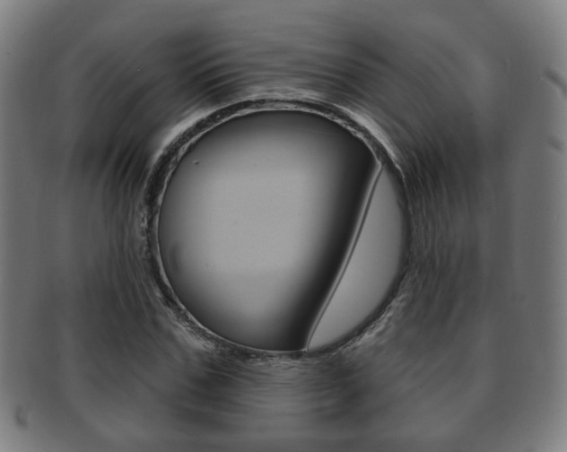 X0000091910971200709051208