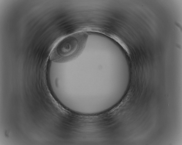 X0000091910972200709051208