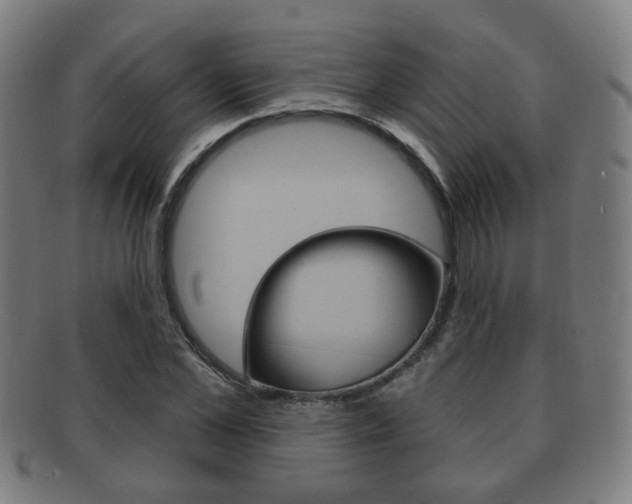 X0000091910973200709051208