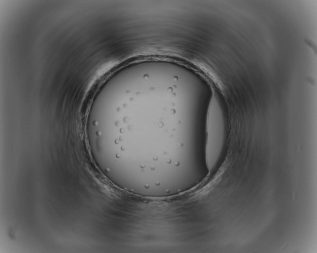 X0000091910974200709051208