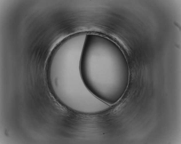 X0000091910975200709051208