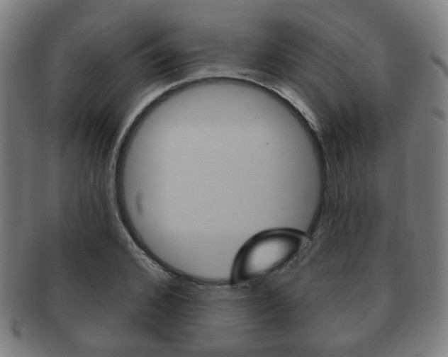 X0000091910976200709051208