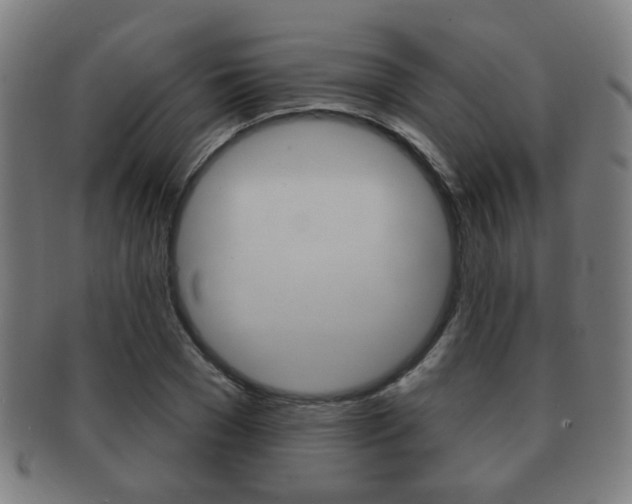 X0000091910977200709051208