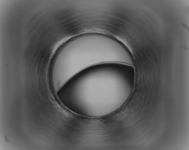 X0000091910979200709051208