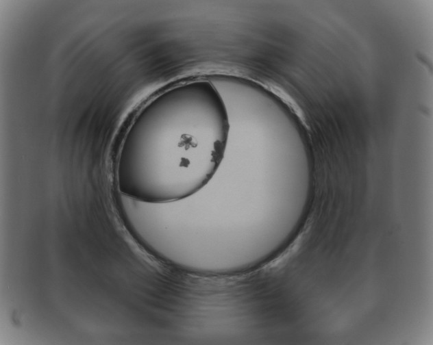 X0000091910981200709051208