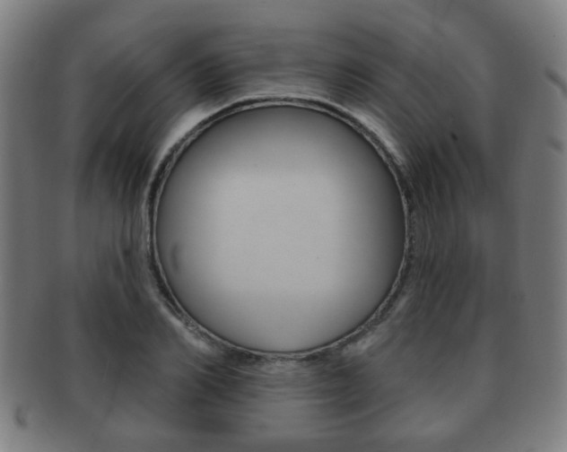 X0000091910982200709051208