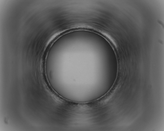 X0000091910983200709051208