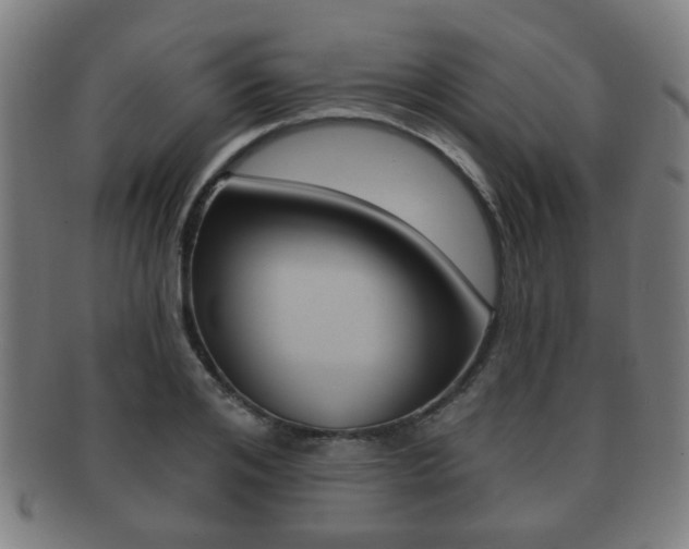 X0000091910984200709051208