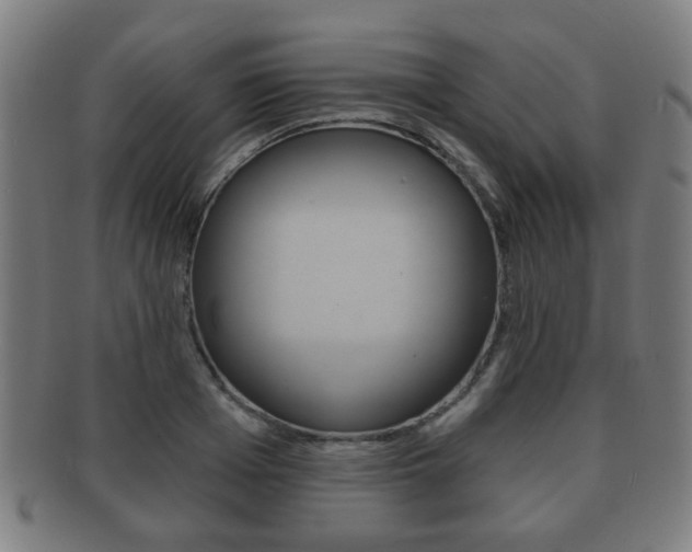 X0000091910985200709051208