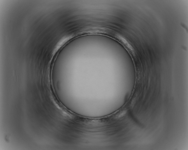 X0000091910986200709051208