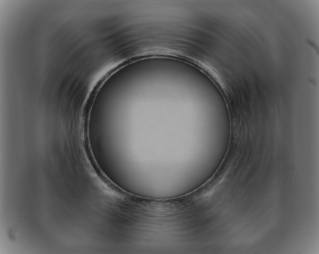 X0000091910987200709051208