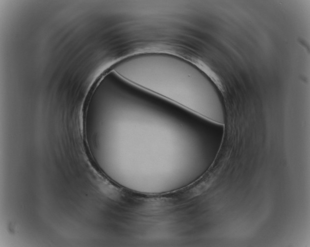 X0000091910988200709051208