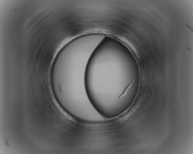 X0000091910989200709051208