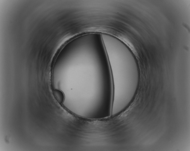 X0000091910992200709051208