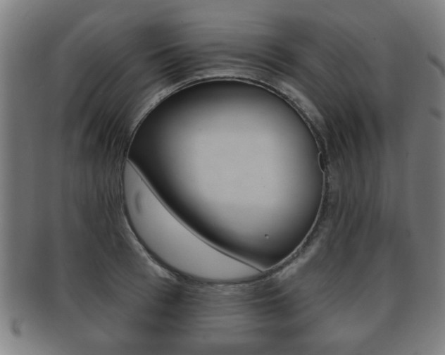 X0000091910993200709051208
