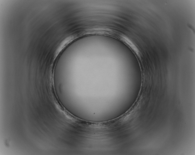 X0000091910994200709051208