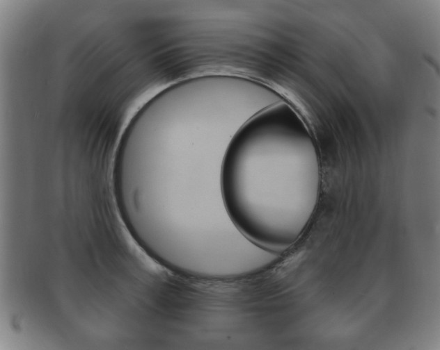 X0000091910995200709051208