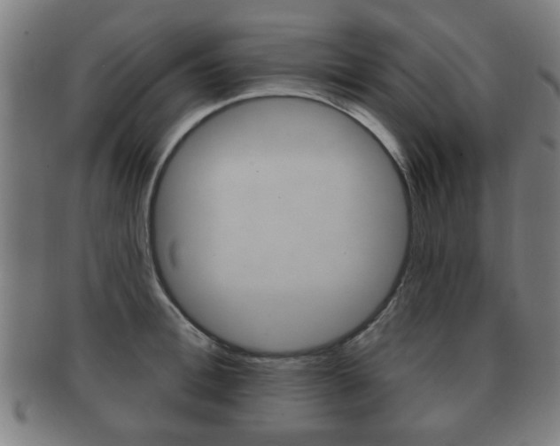 X0000091910996200709051208