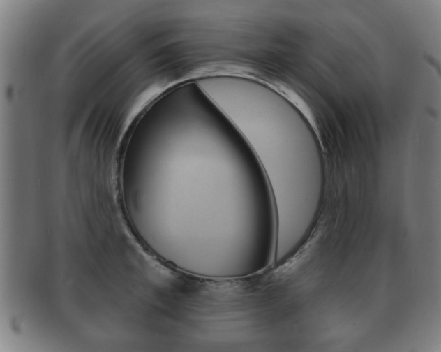 X0000091910997200709051208