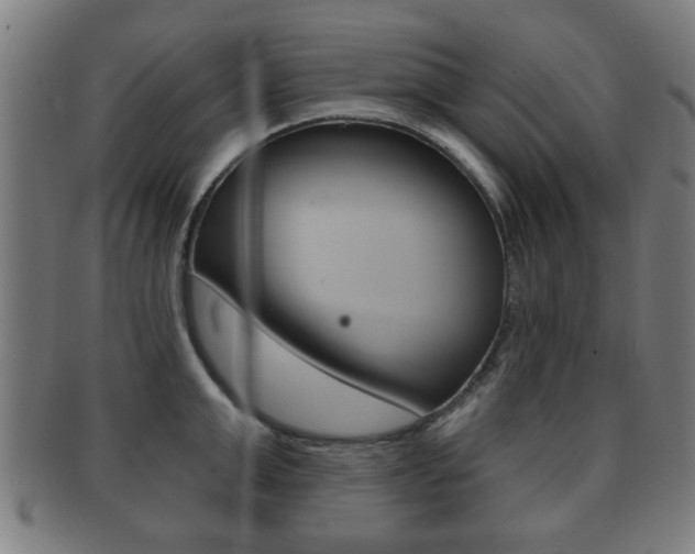 X0000091910999200709051208