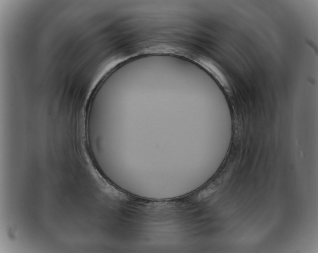 X0000091911000200709051208