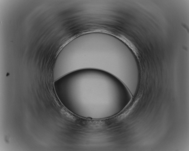 X0000091911001200709051208
