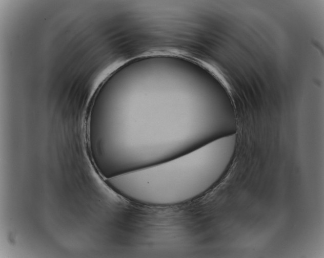X0000091911003200709051208