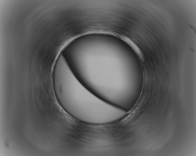 X0000091911004200709051208