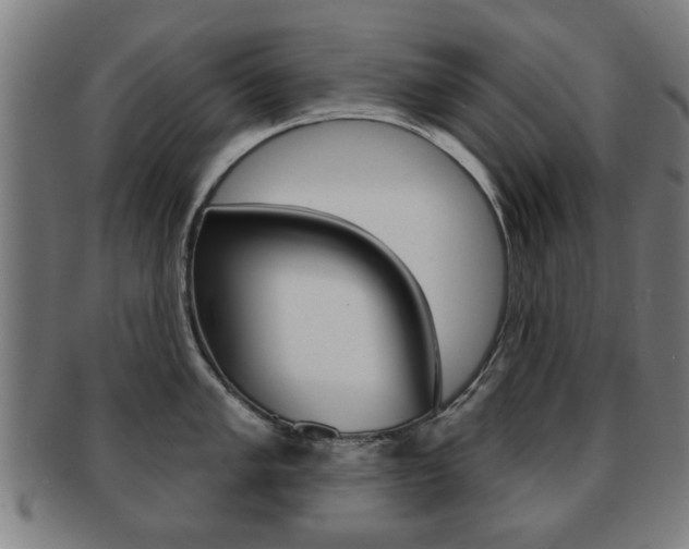 X0000091911005200709051208