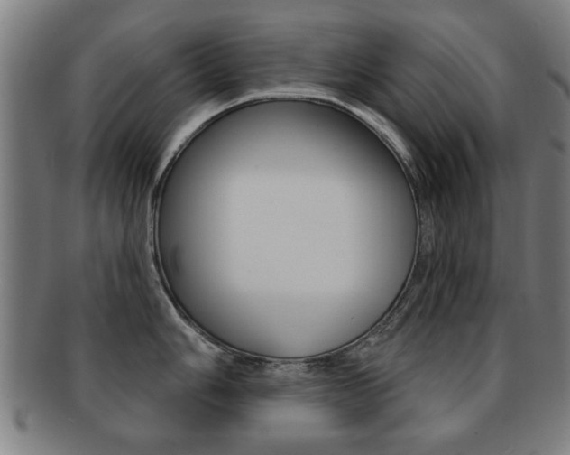 X0000091911006200709051208