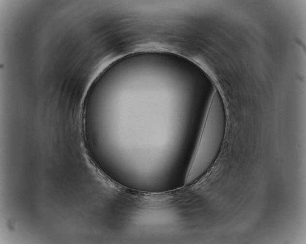X0000091911008200709051208
