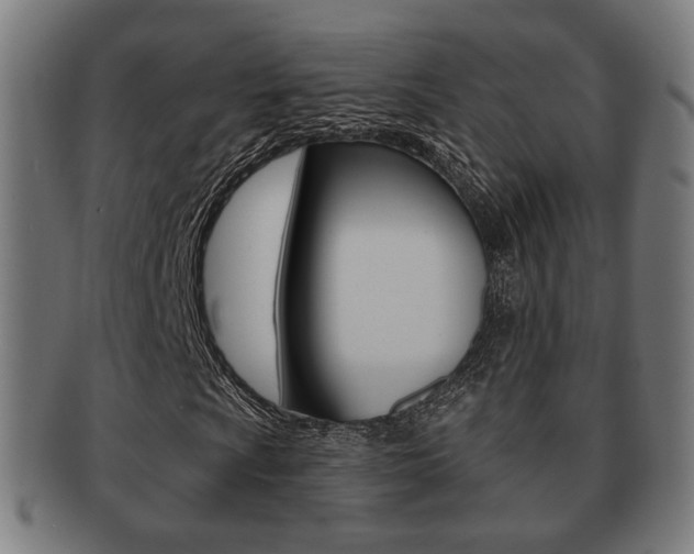 X0000091911009200709051207
