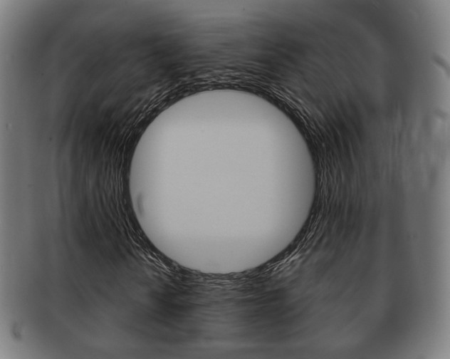 X0000091911010200709051207